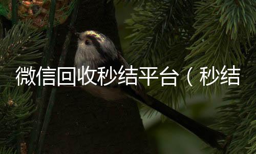 微信回收秒结回收vx号平台（秒结款微信回收）